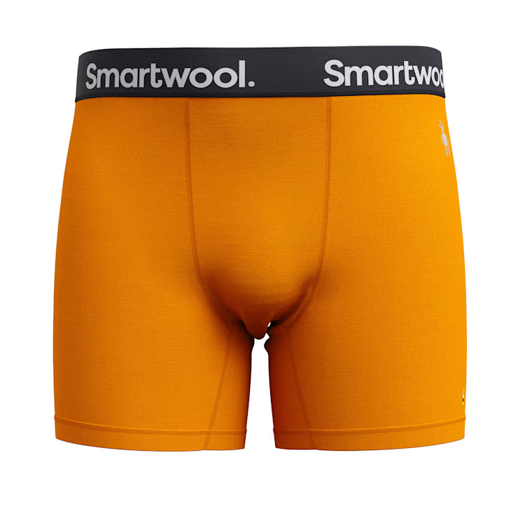 Smartwool Merino Socks Men's Active Boxer Brief Boxed - Image 3
