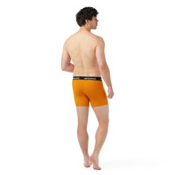 Alternative view of Smartwool Merino Socks Men's Active Boxer Brief Boxed