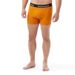 Smartwool Merino Socks Men's Active Boxer Brief Boxed