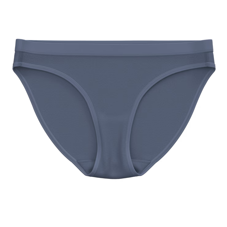 Smartwool Merino Socks Women's Everyday Merino Bikini Boxed - Image 3