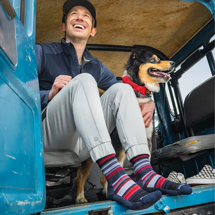Smartwool Merino Socks Everyday Joviansphere Crew Socks - Image 3